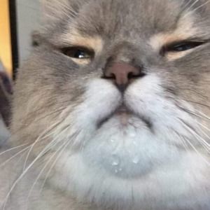 Meet your Posher, Alissa